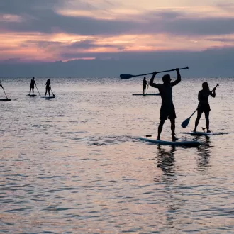 A group of young people on stand up paddle boards at sea on a Summer evening